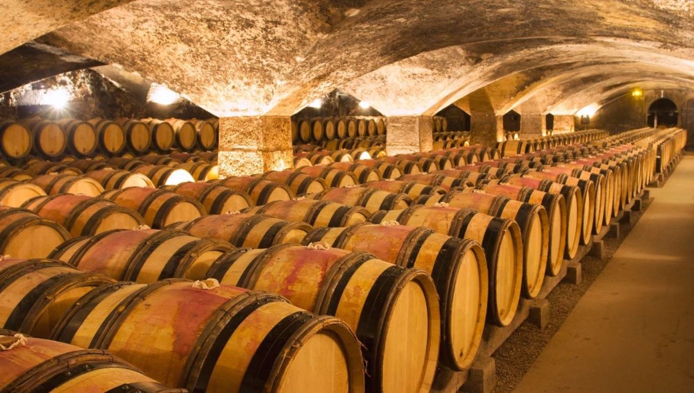 Degustazioni a Montalcino