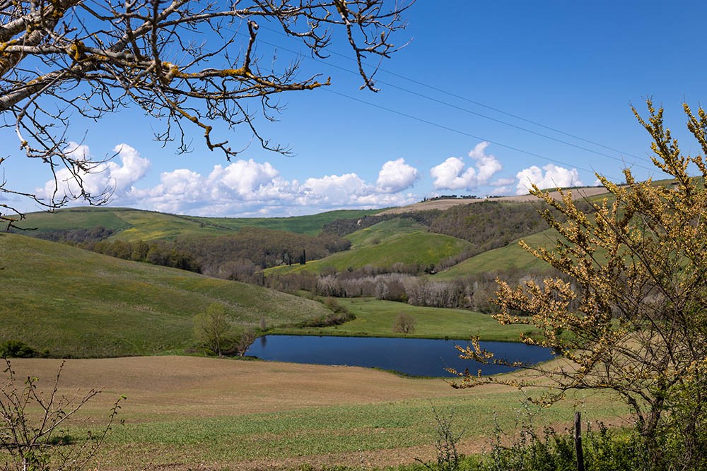 Agriturismo Valditufo - Relax & Truffle hunting - Montalcino - Siena - Tuscany - Italy